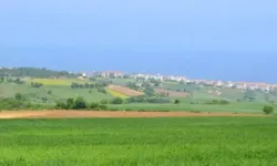 Kentsel Dönüşüm Başkanlığı Duyurdu: Batman’da 4 Arsa Satılacak