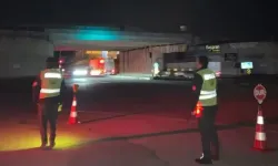 Batman’da Ormanlara Sıkı Denetim: Kaçak Faaliyetlere Geçit Yok