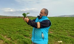 Batman’da Yağışlar Verimi İkiye Katladı