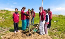 Beşiri'de Meyve Fidanları Toprakla Buluştu