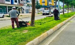 224 Parkta Eş Zamanlı Bakım ve Peyzaj Çalışması