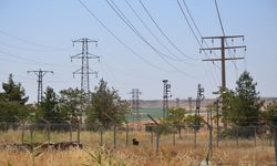 Dicle Elektrik Borcunu Ödemeyen Çiftçinin Enerjisini Kesecek