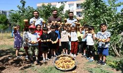 Batmanlı Öğrenciler İlk Patates Hasadını Yaptı