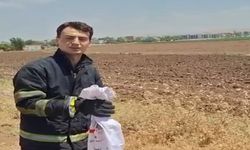 Yılan Bahçeden Okulun Toplantı Salonuna Girdi