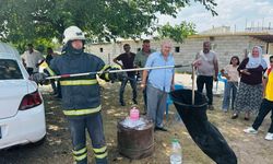 Motor Bölümüne Sıkışan Yılan Kurtarıldı