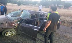 Sasonlu Anne ve Oğlu Hayatını Kaybetti