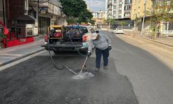 Batman’da Mahalle Mahalle İlaçlama Çalışması