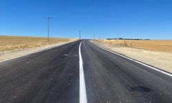 Batman'da Mezarlık Bağlantı Yolu Sıcak Asfaltla Yenilendi