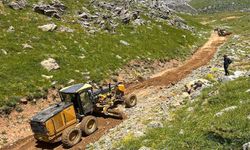 Kozluk'ta 10 Kilometrelik Yayla Yolu Yeniden Ulaşıma Açıldı
