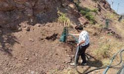 Sason’da Meyve Veren Ağaç Projesi Kapsamında Sulama Çalışmaları Sürüyor