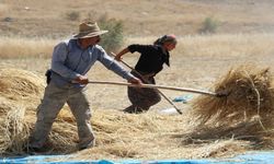 Hasankeyf'te 42 Derece Sıcakta Zorlu Patoz Mesaisi