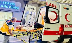 Batman'da Ambulans Hizmetinden 440 Kişi Yararlandı