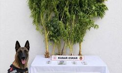 Batman'da kaçakçılık operasyonunda 27 kişi hakkında adli işlem yapıldı