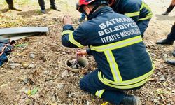 Batman'da Boruya Sıkışan Yavru Kedi Kurtarıldı