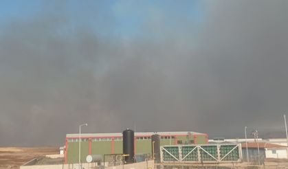 Gaziantep'te tarım arazisinde çıkan yangına havadan ve karadan müdahale ediliyor