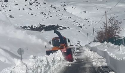 Bingöl, Batman ve Şırnak'ta Kar Ulaşıma Engel Oldu