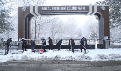 Bingöl ve Şırnak'ta kar nedeniyle 131 yerleşim yerine ulaşım sağlanamıyor