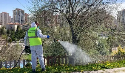 Kayseri Talas'tan haşereyle kesintisiz mücadele