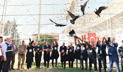 Şanlıurfa'da koruma altındaki 45 kelaynak göç etmeleri için doğaya bırakıldı