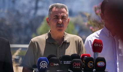 İzmir Valisi Elban'dan kentteki orman yangınlarına ilişkin açıklama