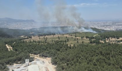 İzmir'in Buca ilçesinde çıkan orman yangınına müdahale ediliyor
