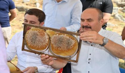 Vali Canalp Sason Cobet Yaylası'nda İlk Bal Hasadına Katıldı