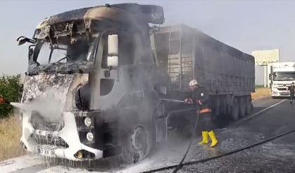 Şanlıurfa'da tırda çıkan yangın itfaiye ekiplerince söndürüldü