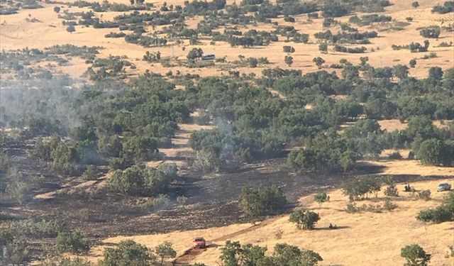 Gercüş'te Ormanlık Alanda Çıkan Yangın Söndürüldü