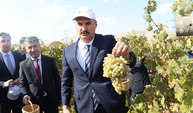 Gercüş