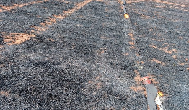 Mardin'de çıkan yangınlarda yaklaşık 5 bin dönüm ekili alan zarar gördü