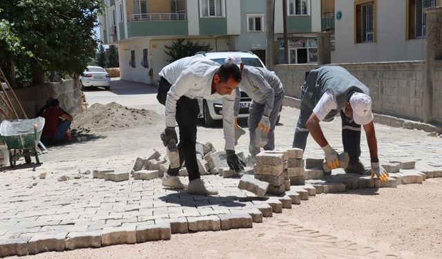 Midyat'ta sokak sağlıklaştırma çalışması