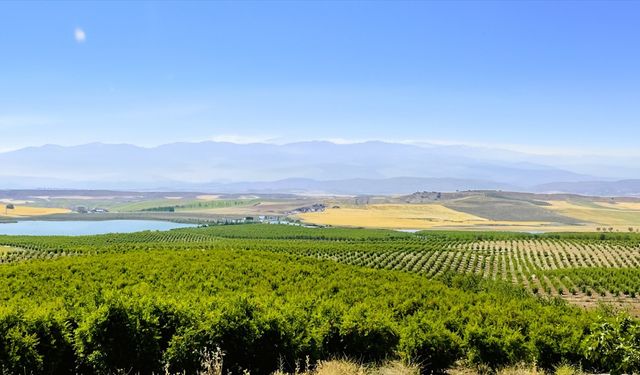 Raz Gıda ile Konfrut'tan ortaklık anlaşması