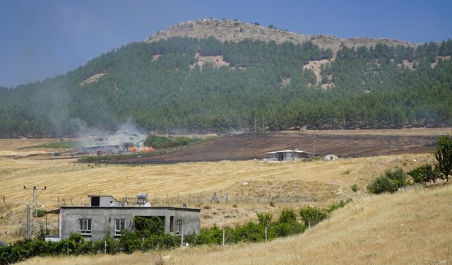 Adıyaman'da çıkan anız yangını evlere sıçramadan söndürüldü