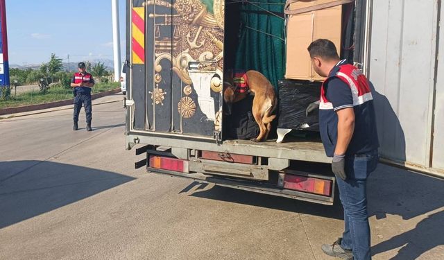 Adıyaman'da narkotik suçlarla mücadele uygulamasında 12 şüpheli yakalandı