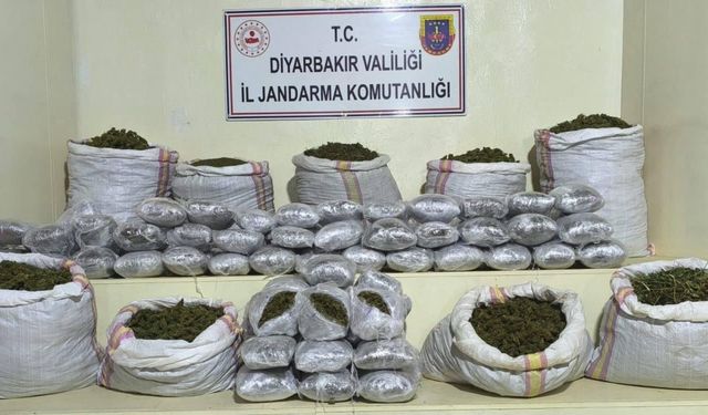 Diyarbakır'da 2 milyon 302 bin 530 kök kenevir ve 203 kilogram esrar ele geçirildi