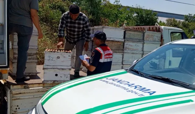 Edirne'de arıcılara önemli uyarı