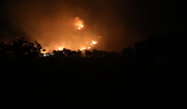 Gaziantep'te çıkan arazi yangını kontrol altına alındı