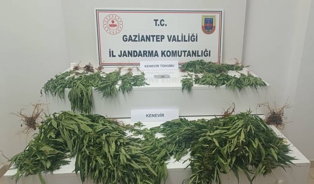 Gaziantep'te uyuşturucu operasyonunda 9 şüpheli yakalandı