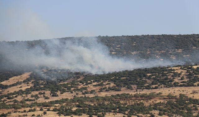 GÜNCELLEME - Kilis'te çıkan orman yangını söndürüldü