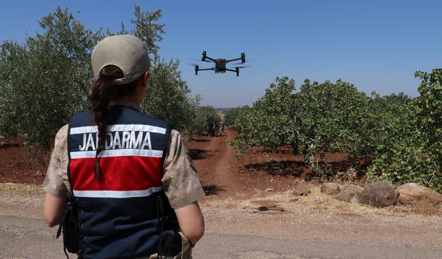 Kilis'te jandarma fıstık hırsızlığına karşı havadan ve karadan denetim yapıyor