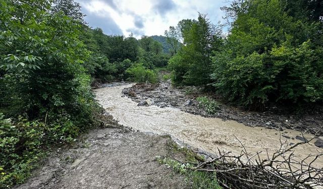 Ordu'da üç ilçeyi sel vurdu: 1 ölü