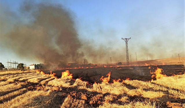 Şanlıurfa'da anız yangınları 2 bin 370 aboneyi elektriksiz bıraktı