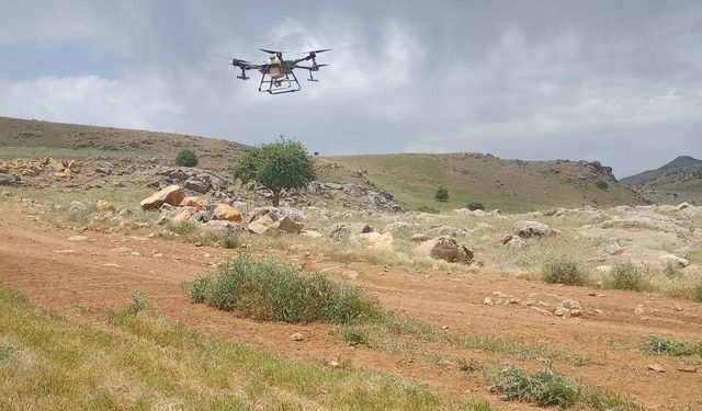 Siirt'te çekirgeyle mücadele kapsamında dron ile ilaçlama yapıldı