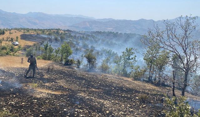 Şırnak'ta örtü yangınında yaklaşık 15 dönüm alan zarar gördü