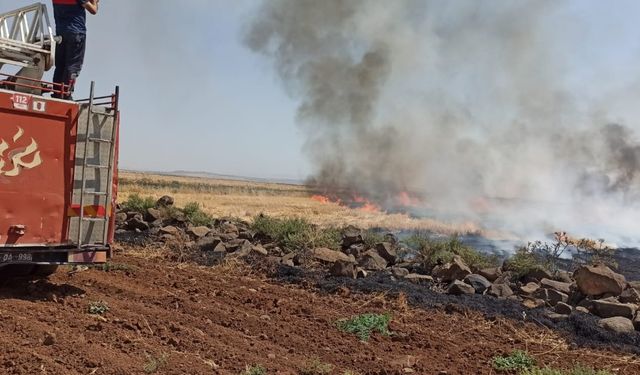 Şırnak'ta tarım arazisinde çıkan yangın söndürüldü