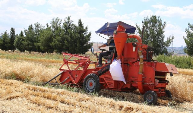 Tescillenen buğdaya Diyarbakır'ı fetheden komutanın ismi verildi