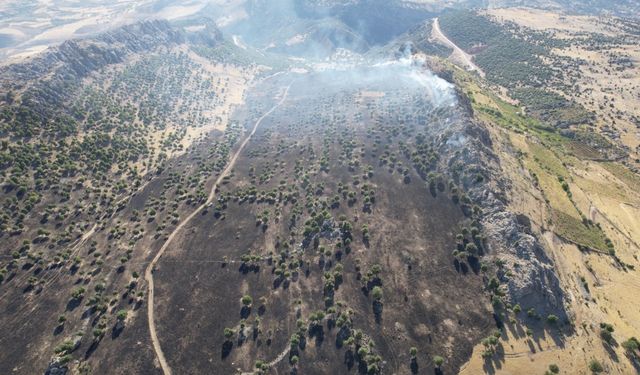 Adıyaman'da çıkan örtü yangını ormana sıçramadan söndürüldü