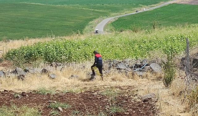 Diyarbakır'da kaybolan 8 yaşındaki kız çocuğu aranıyor