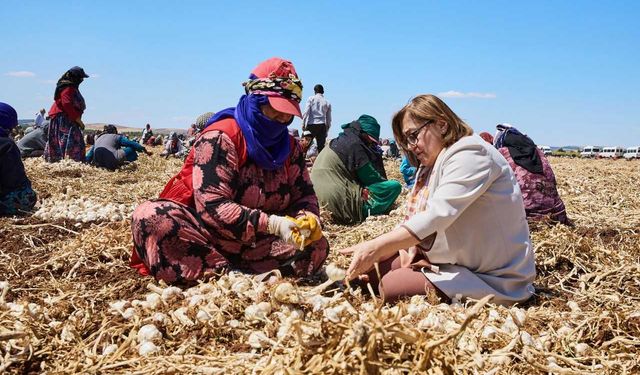 Gaziantep'te belediyenin çiftçiden aldığı ürünler tüketiciyle buluşturuluyor