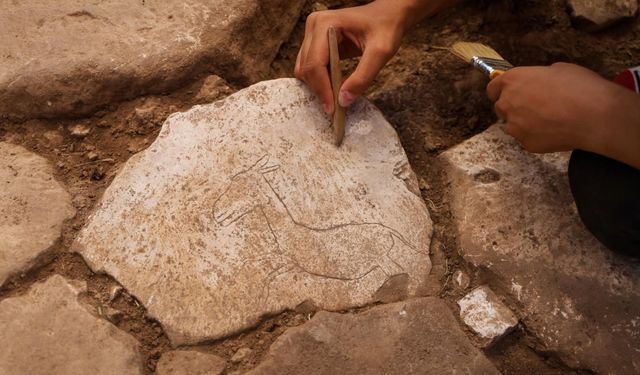 Karahantepe'de kazı alanında koşar halde betimlenen yaban eşeği figürü bulundu